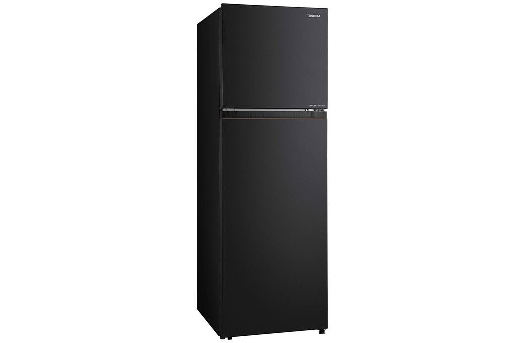 Tủ lạnh Chính Hãng Toshiba Inverter 271 lít GR-RT349WE-PMV(68)