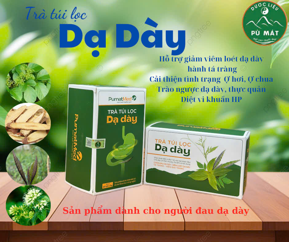 Trà túi lọc Dạ dày Pù Mát