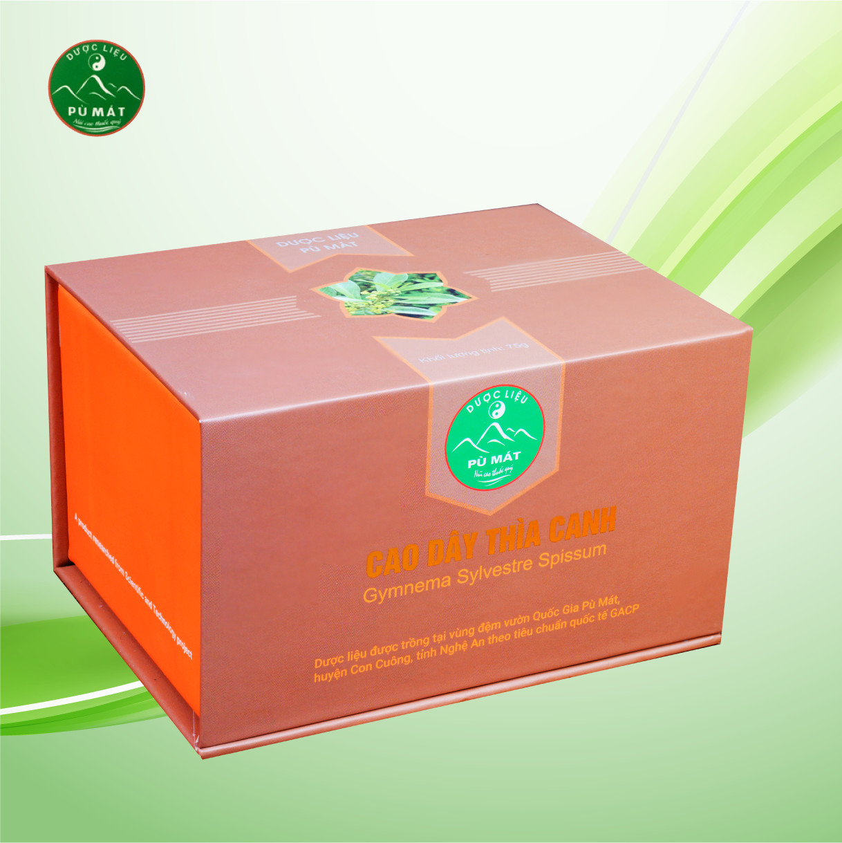 Cao Dây thìa canh Pù Mát