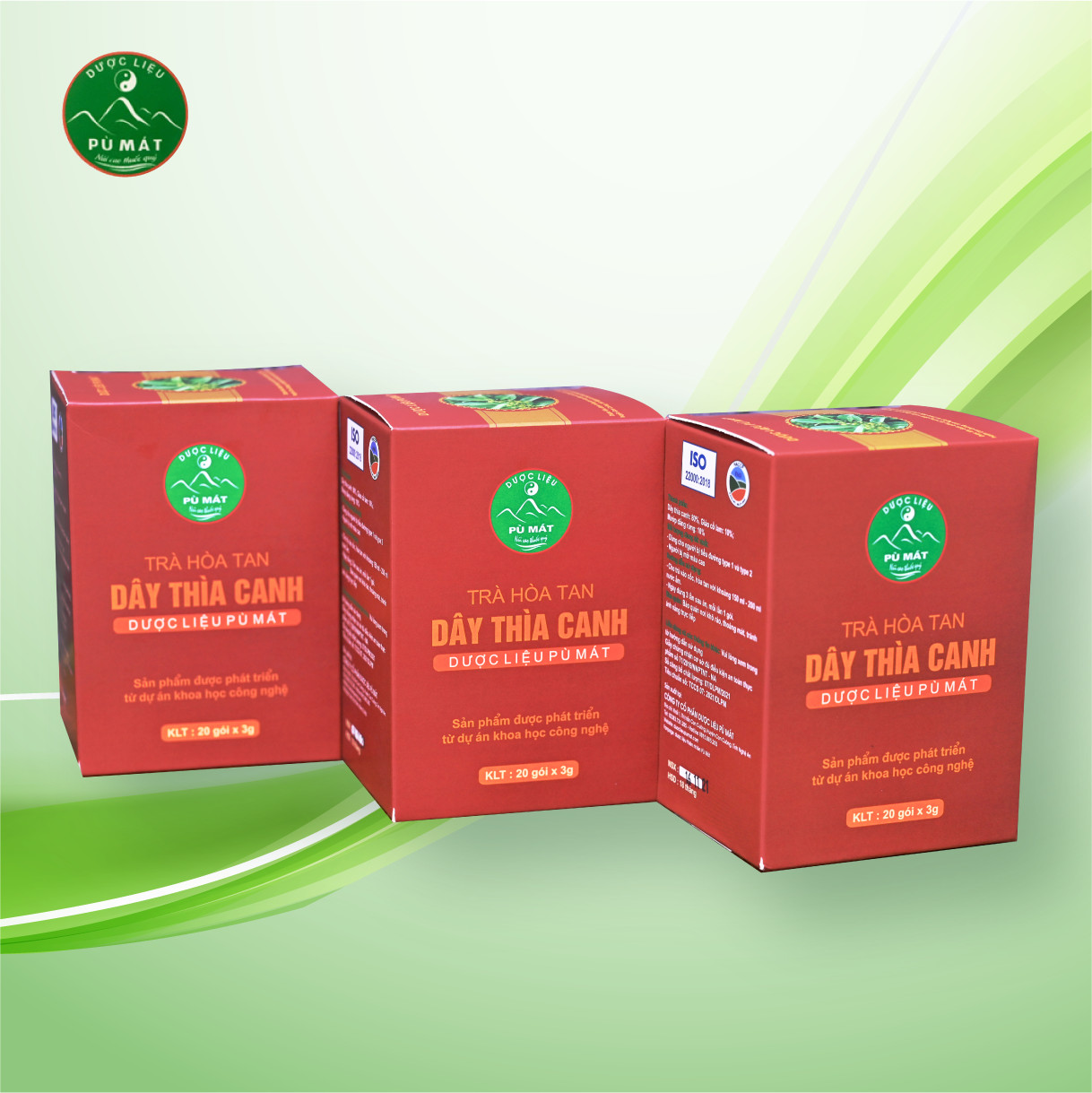Trà hòa tan dây thìa canh Pù Mát
