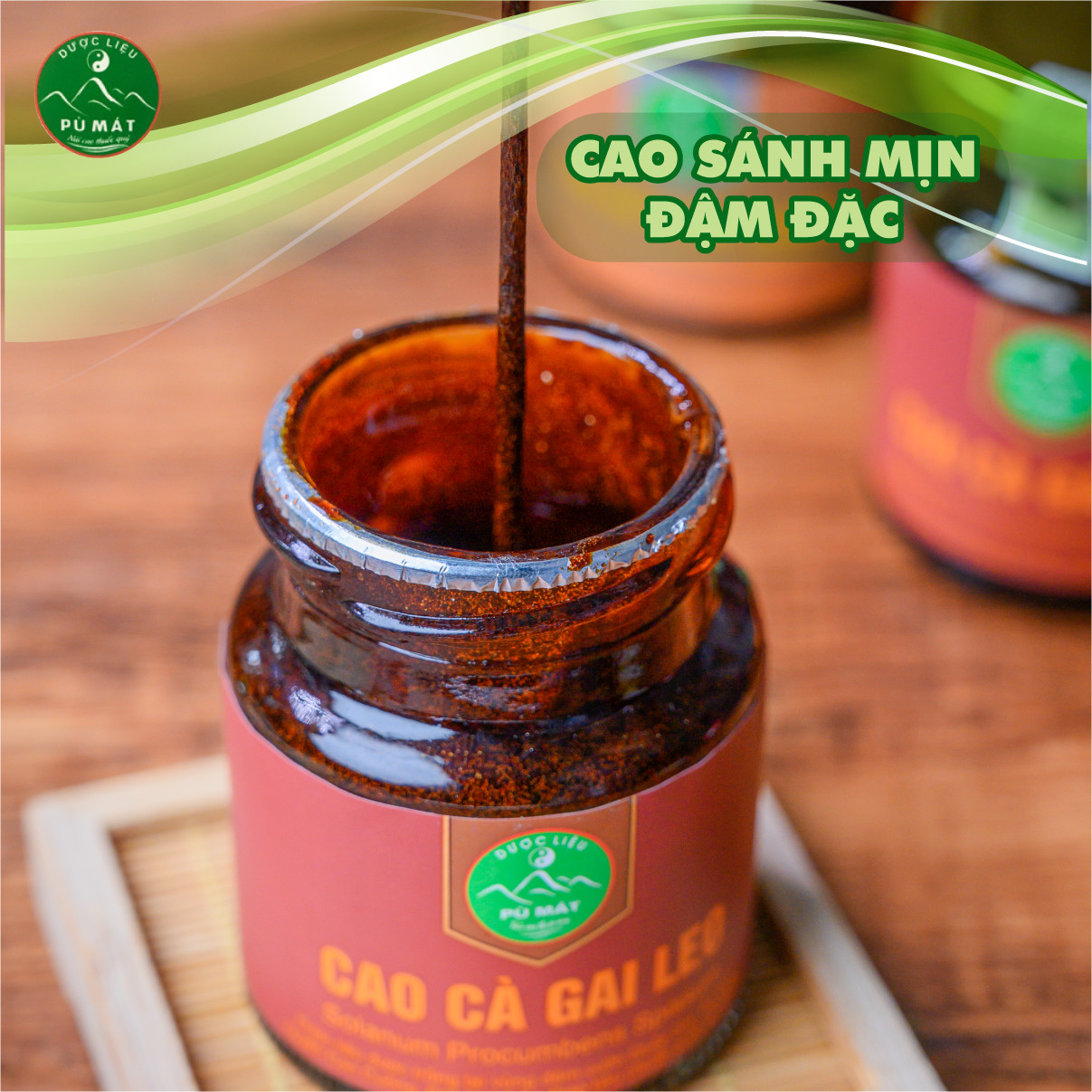 Cao cà gai leo Pù Mát